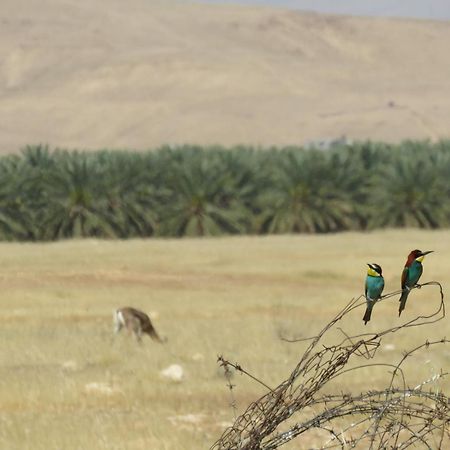 חוות עינות קדם- Einot Kedem Farm Villa Meqor Hayyim Екстериор снимка